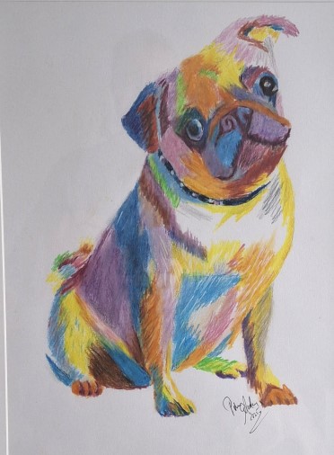Mops-70